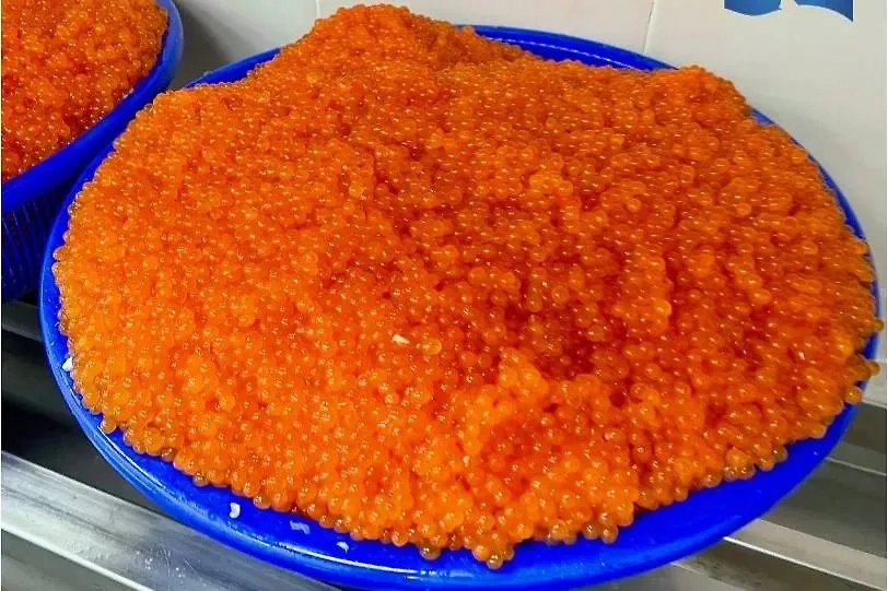 Обложка © Telegram/Рыбный союз