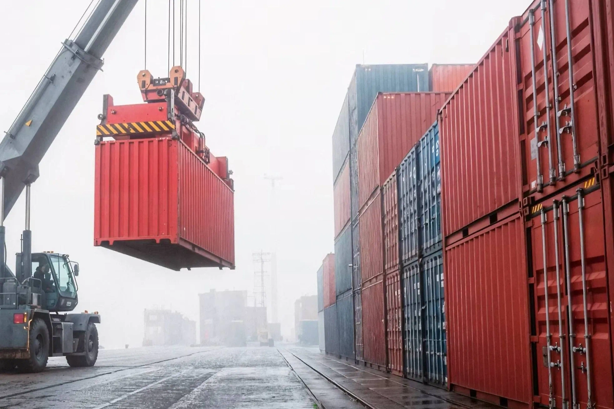 Обложка © Freepik