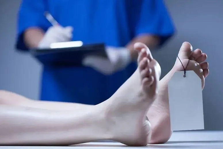 Обложка © Shutterstock / FOTODOM / Ground Picture