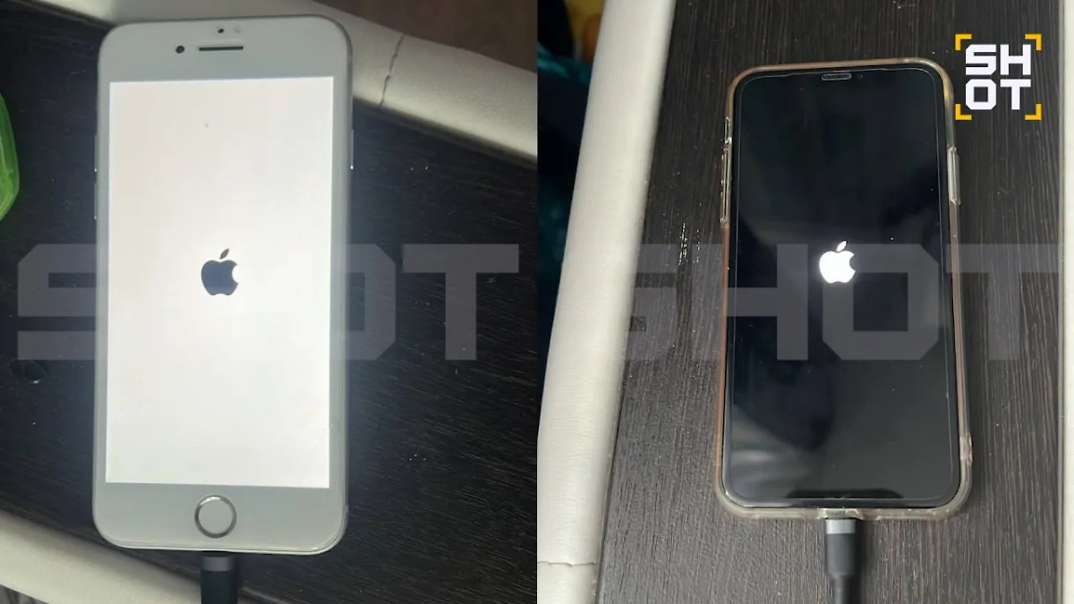 Телефоны перестали работать из-за приложения Л’Этуаль. Фото © Telegram / SHOT