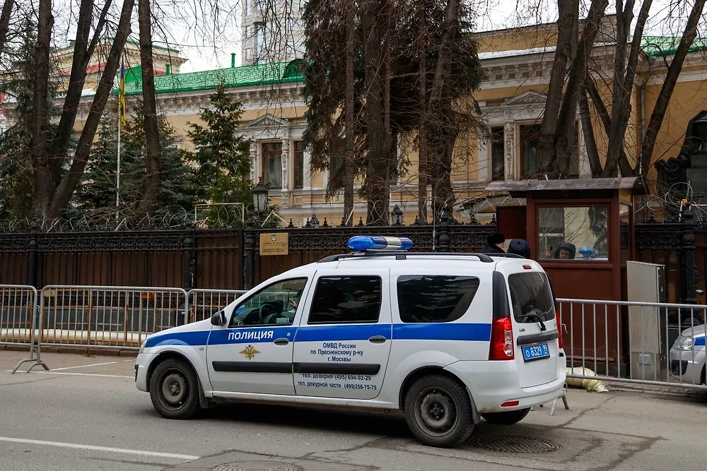 Обложка © Shutterstock / FOTODOM / Konstantin Lenkov