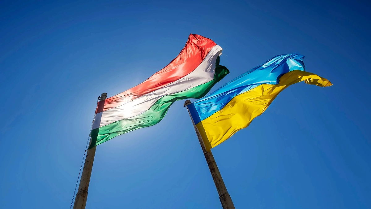 Обложка © Shutterstock / FOTODOM / Zsolt Biczo