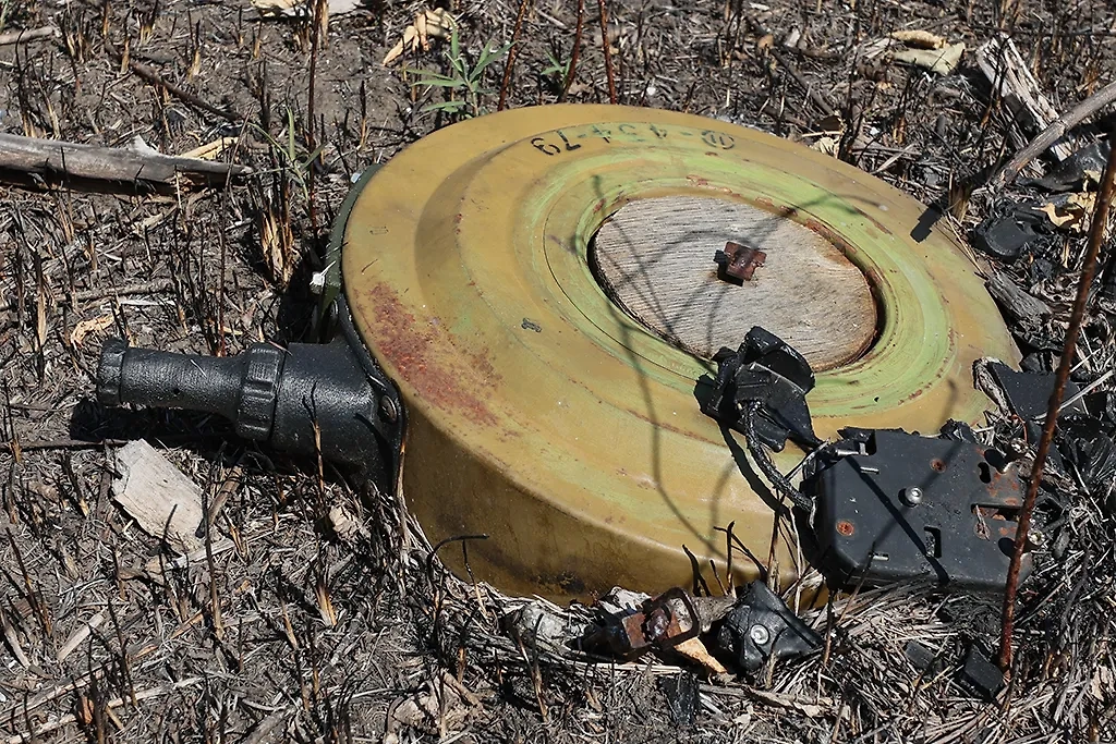 Обложка © ТАСС / Дмитрий Ягодкин