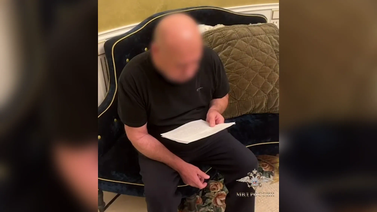 Обложка © Telegram / Ирина Волк