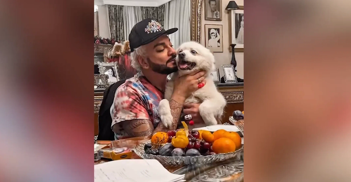 Обложка © Instagram (признан экстремистской организацией и запрещён на территории Российской Федерации) / fkirkorov