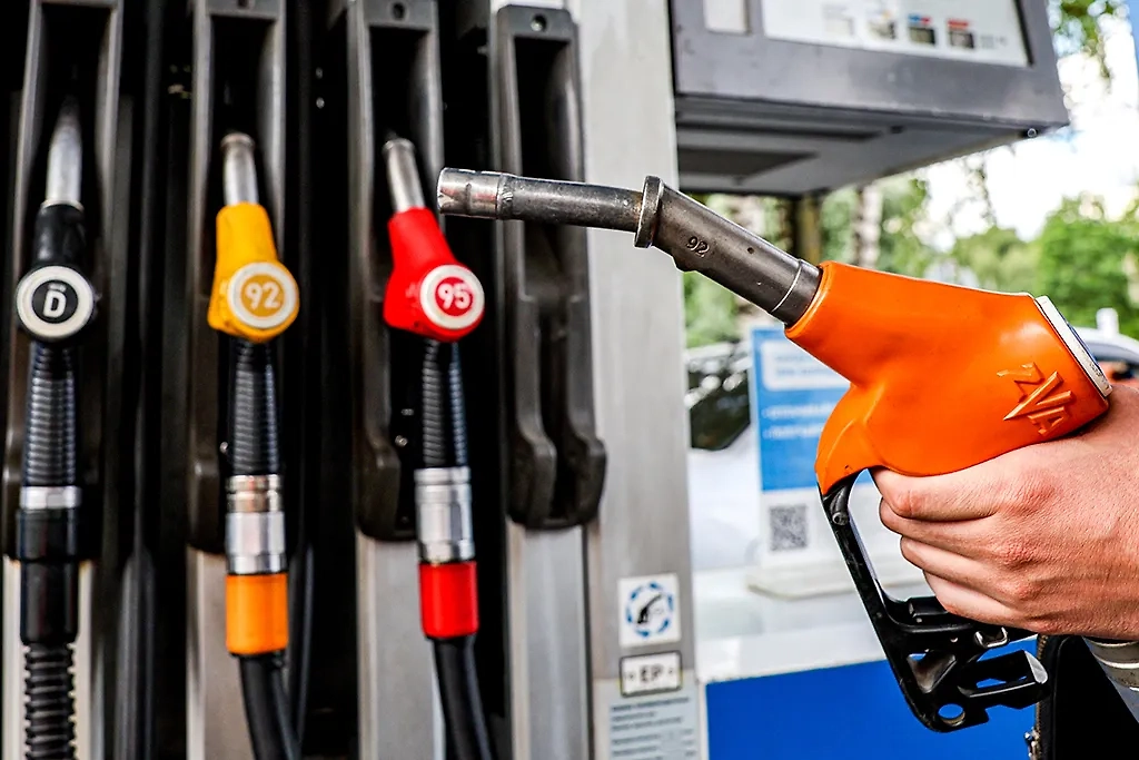 Обложка © ТАСС / Сергей Бобылев