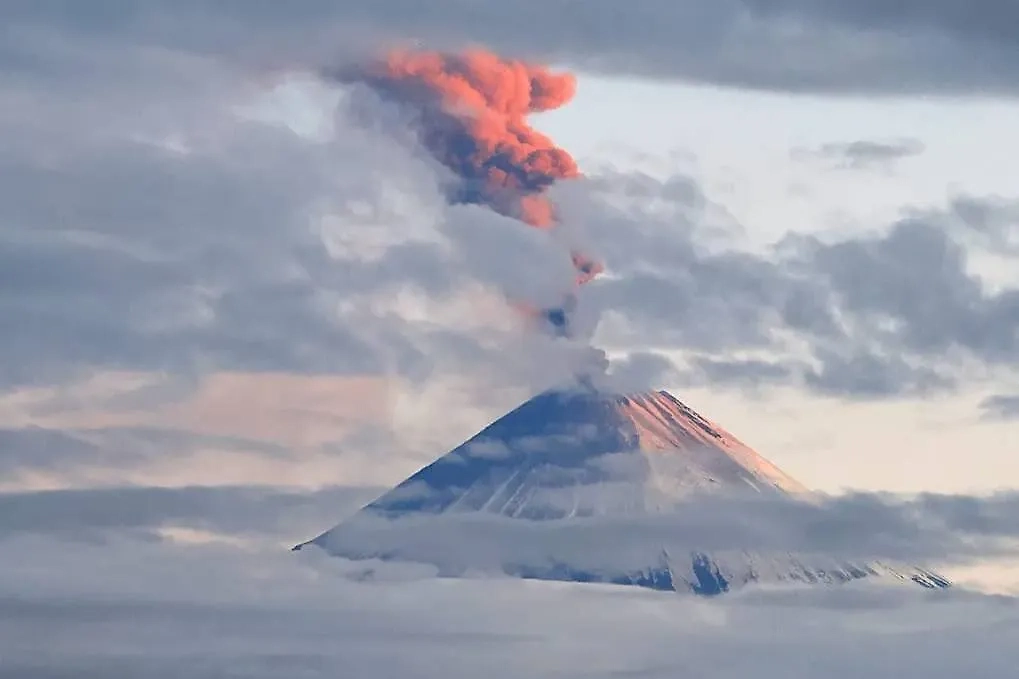 Обложка © Telegram / ИВиС ДВО РАН / Юрий Демянчук