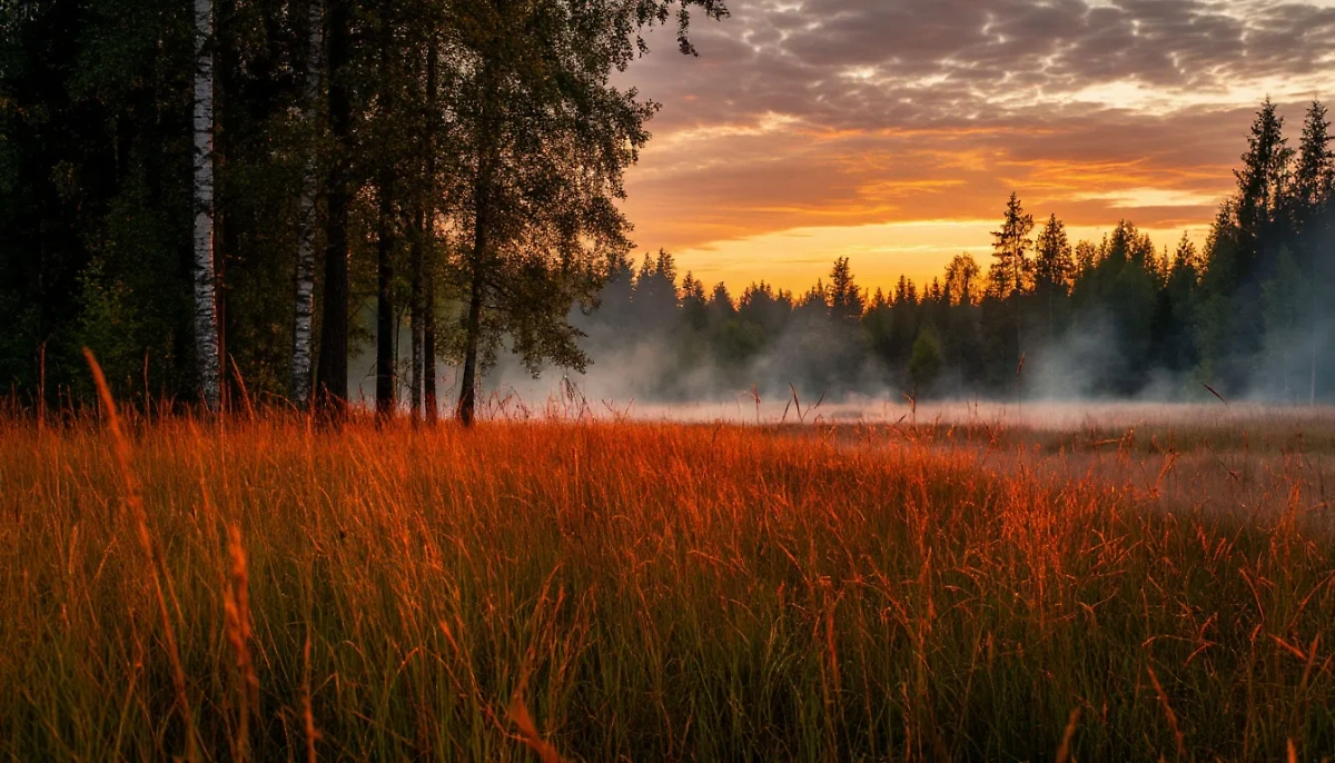 Обложка © Life.ru / Шедеврум