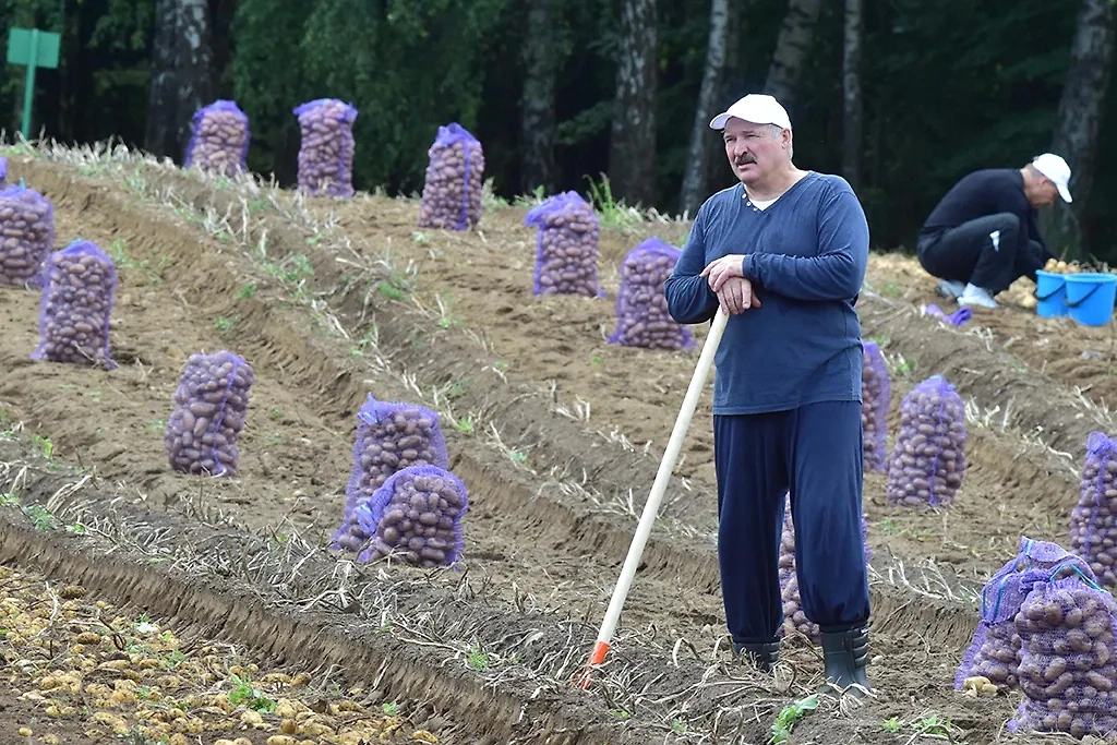 Обложка © ТАСС / Андрей Стасевич