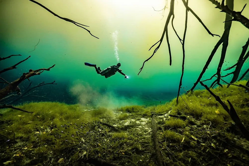 Обложка © Shutterstock / FOTODOM / Marianna Tombini