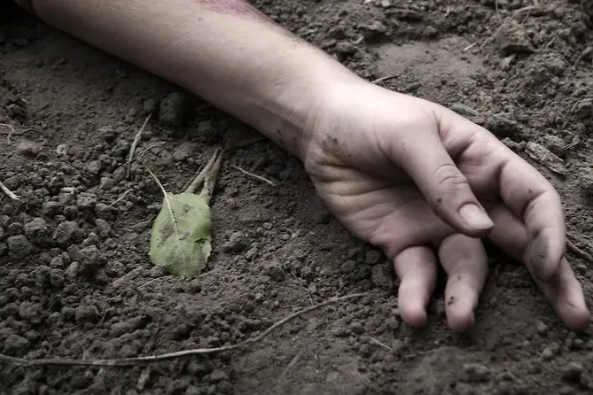 Обложка © Shutterstock / FOTODOM / ArtMari