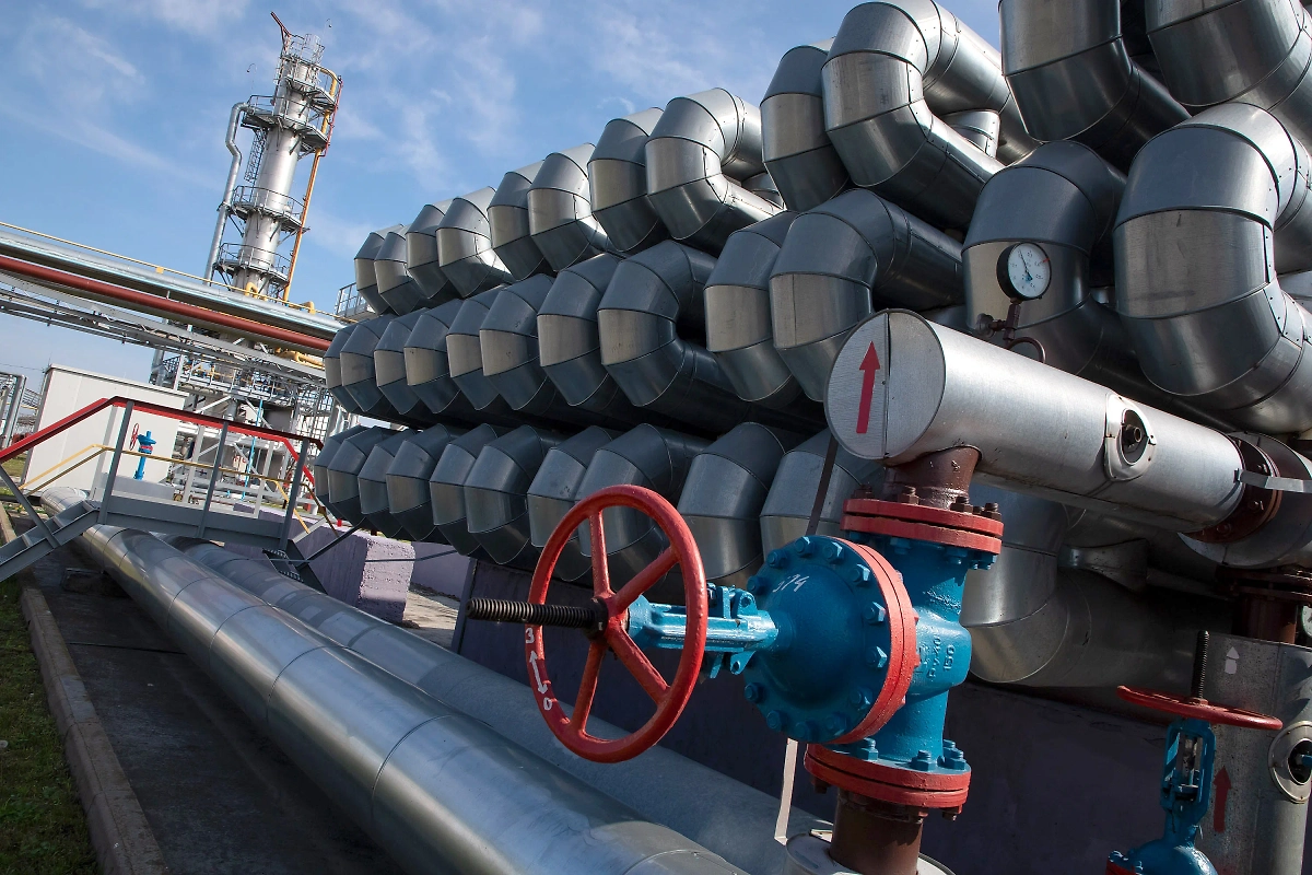 Обложка © Shutterstock / FOTODOM / alex sobol