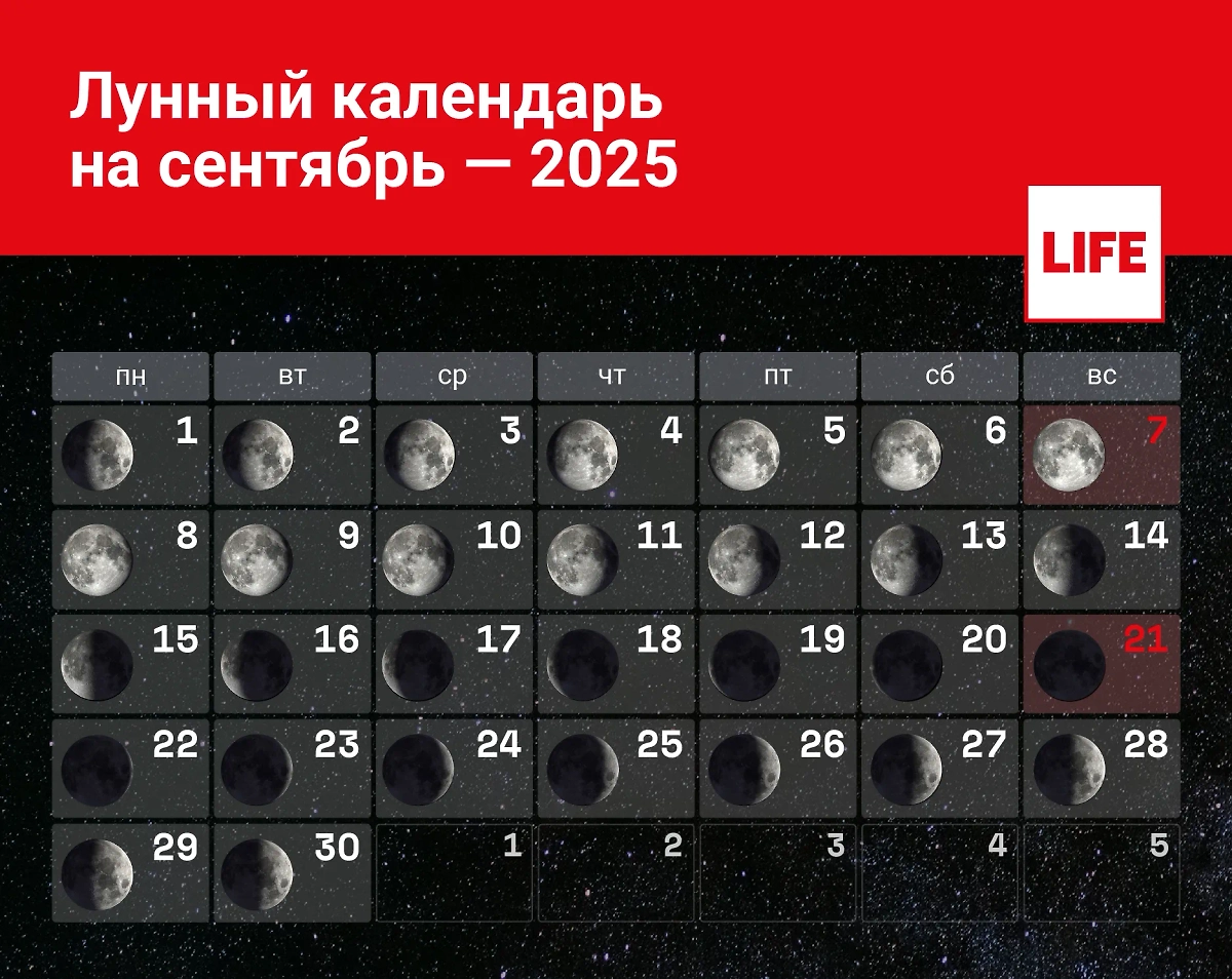 Лунный календарь на сентябрь — какие у Луны будут фазы в первый месяц осени? Инфографика © Life.ru