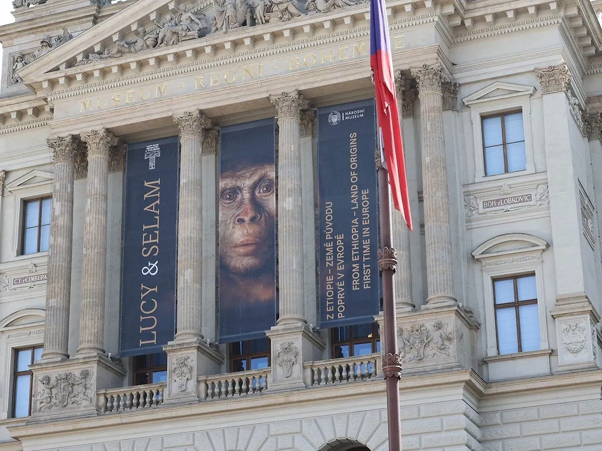 Национальный музей в настоящее время. Обложка © Instagram (признан экстремистской организацией и запрещён на территории Российской Федерации) / @thecesko.cz