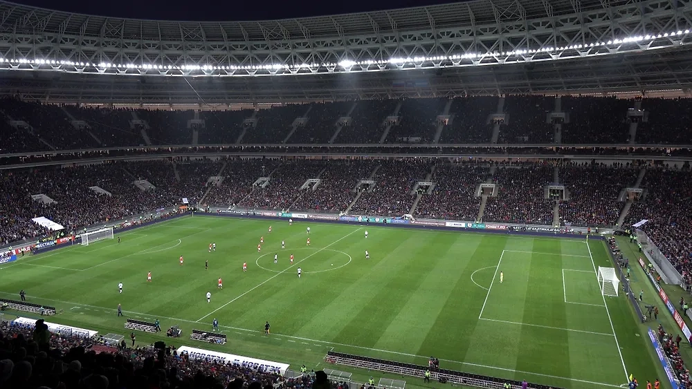 Обложка © Shutterstock / FOTODOM / ANDREY-SHA74