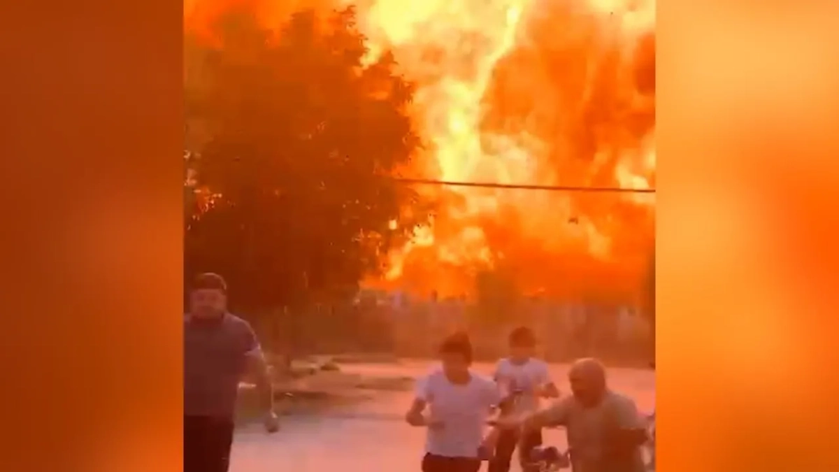 Обложка © SHOT