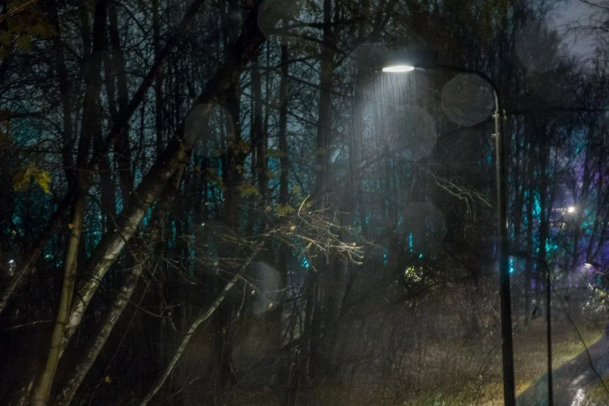 Обложка © Life.ru