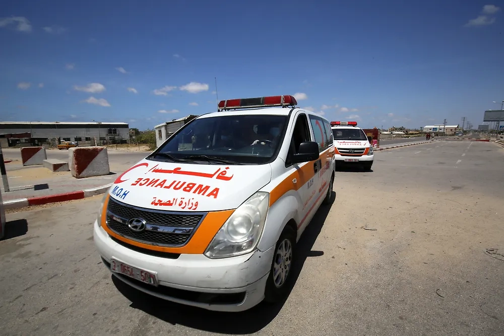 Обложка © Shutterstock / FOTODOM / Anas-Mohammed