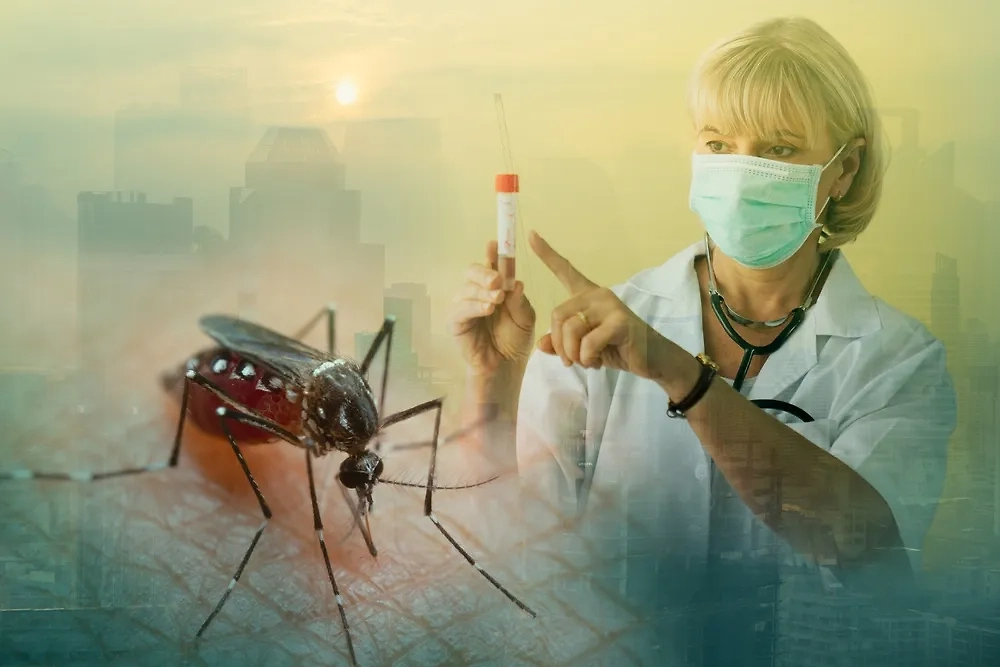 Обложка © Shutterstock / FOTODOM / frank60