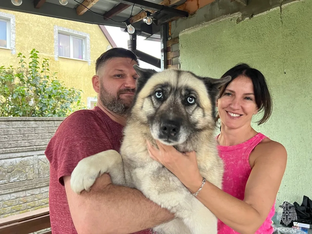 Спасённая Шаста с хозяевами. Обложка © VK / МЧС России