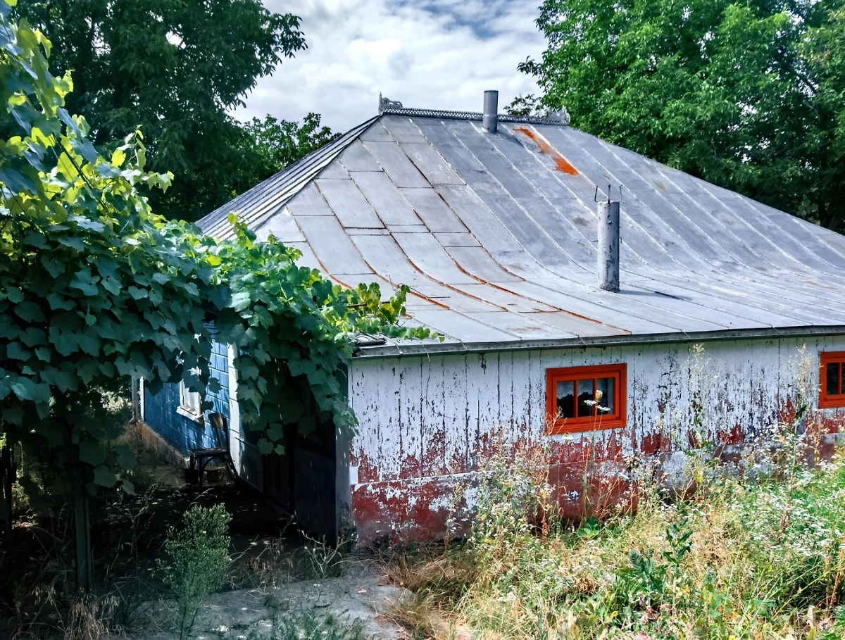 Обложка © freepik / frimufilms