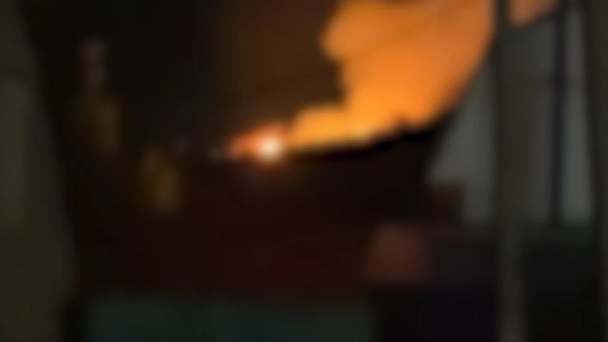 Пожар в пригороде Воронежа. Обложка © Telegram / SHOT