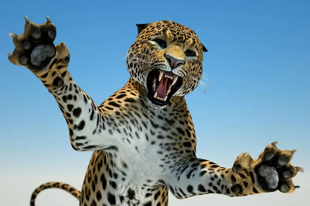 Обложка © Shutterstock / FOTODOM / Veronika Surovtseva