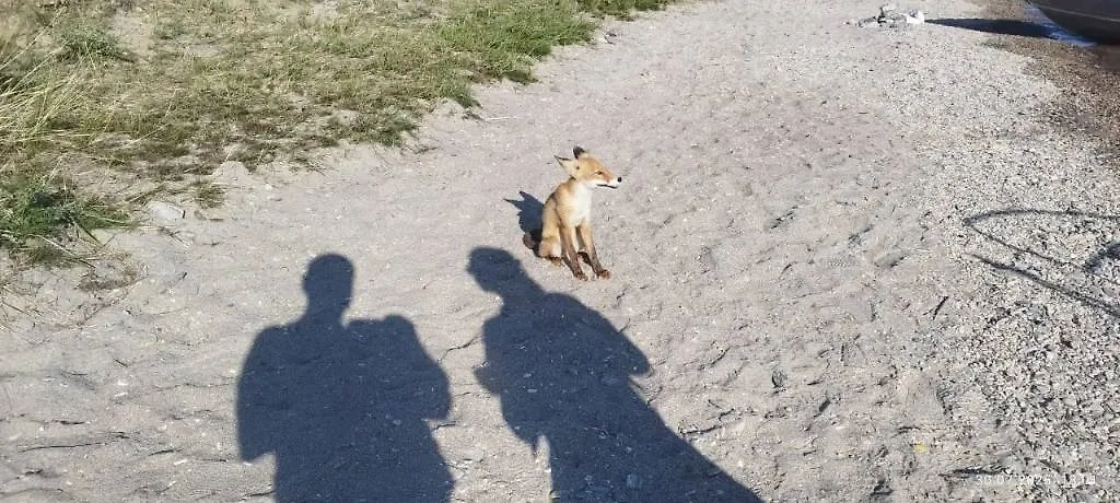 Обложка © ФГБУ «Заповедное Прибайкалье»