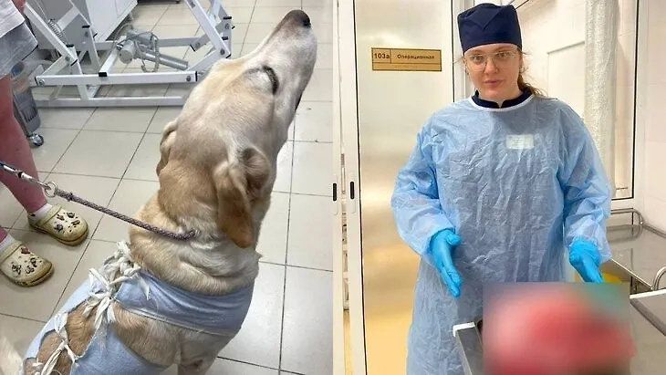 Обложка © ГБУ «Мосветобъединение»