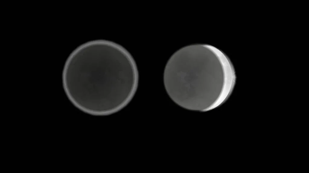 Фото © Shutterstock / FOTODOM / Amanita Silvicora