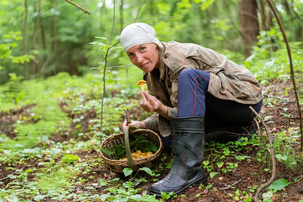 Какие съедобные грибы растут в Подмосковье — список. Фото © Shutterstock / FOTODOM / Artsiom P