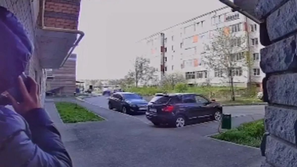 Обложка © Telegram / Mash Iptash