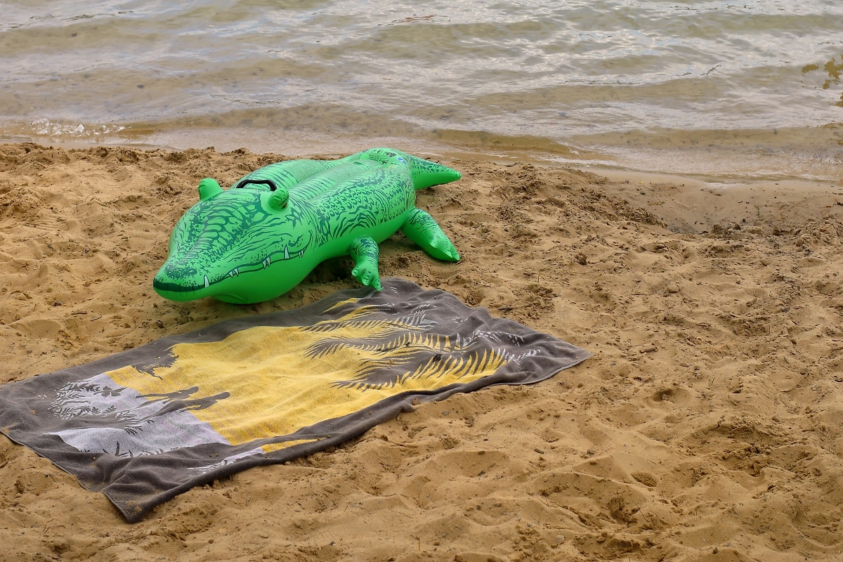 Обложка © Shutterstock / FOTODOM/ Adam Serba