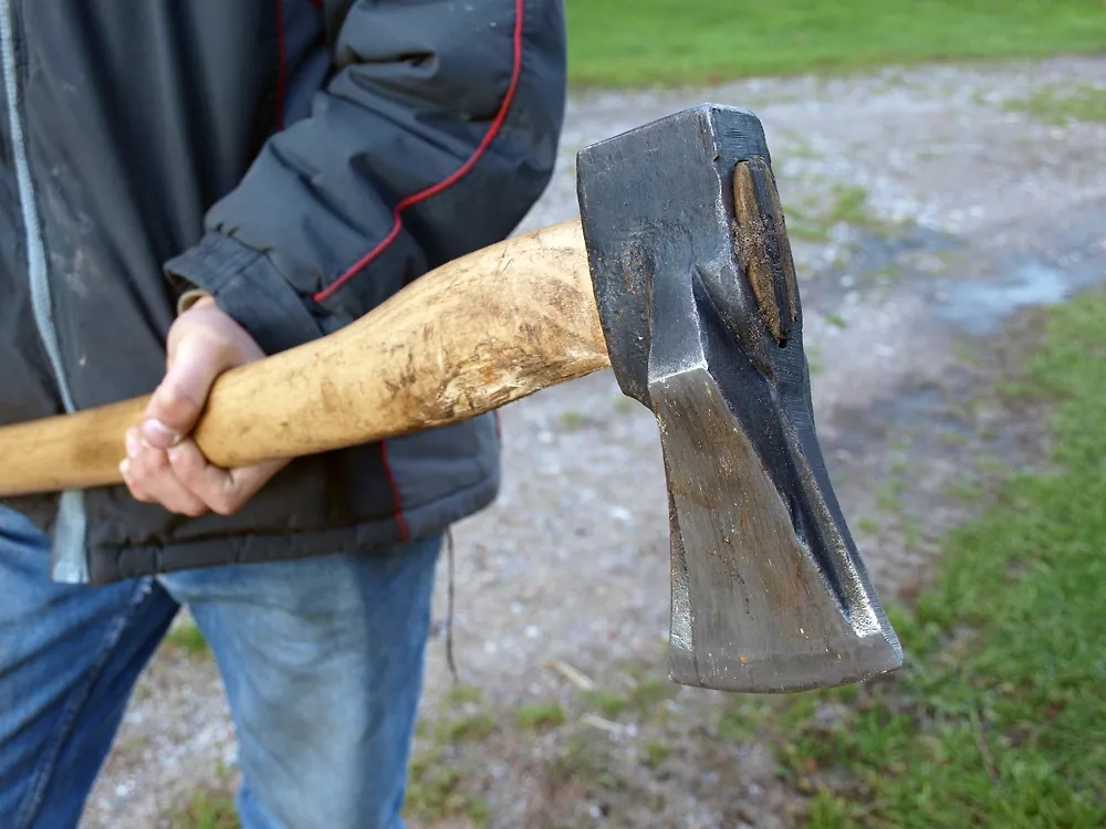 Обложка © Shutterstock / FOTODOM / Grandpa