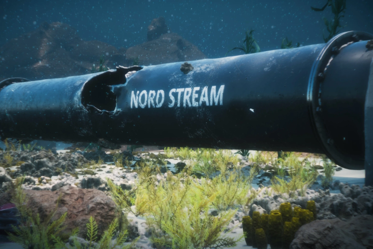 Обложка © Shutterstock / FOTODOM / Frame Stock Footage