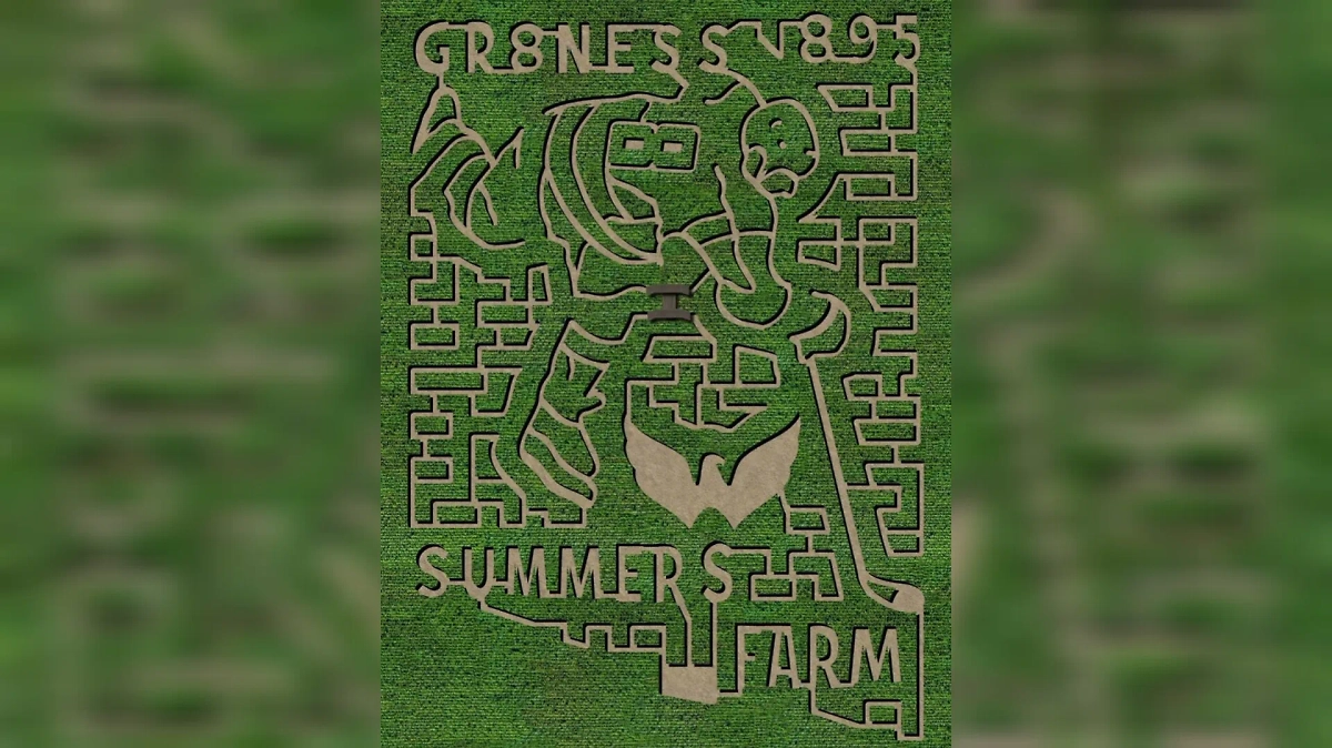 Лабиринт в честь Овечкина, вид сверху. Фото © Instagram (соцсеть запрещена в РФ; принадлежит корпорации Meta, которая признана в РФ экстремистской) / summersfarm