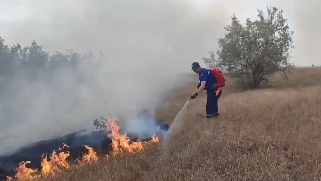 Тушение ландшафтного пожара в Крыму. Обложка © Telegram / МЧС России