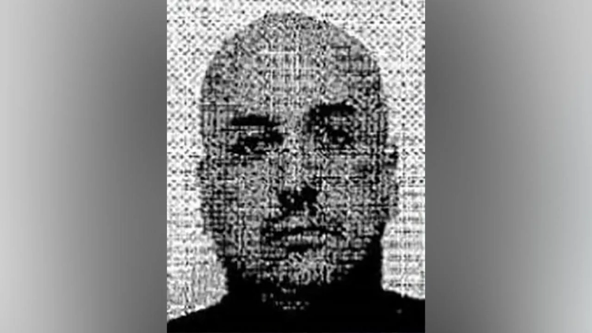 Фото Сергея Кузнецова. Обложка © Open.online