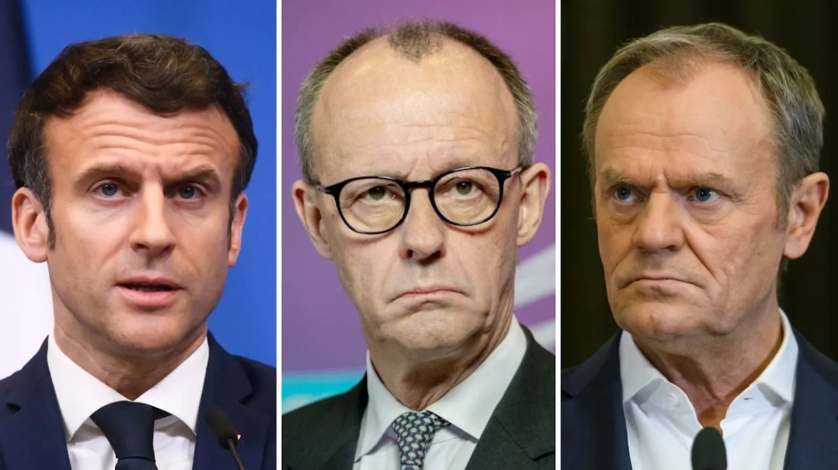 Обложка © Shutterstock / FOTODOM / Gints Ivuskans, photocosmos1, paparazzza