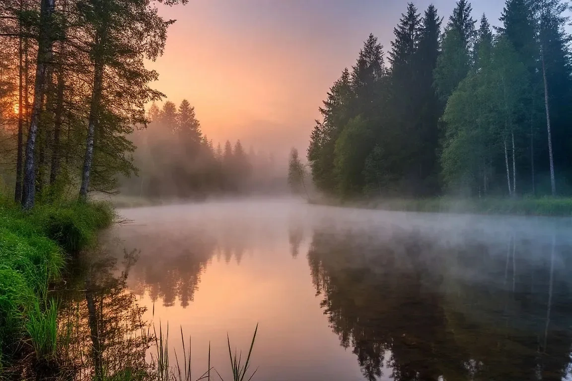 Фото © «Шедеврум» 