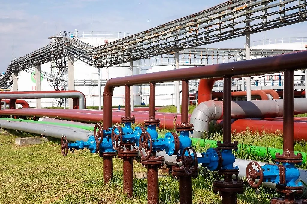 Обложка © Shutterstock / FOTODOM / Alex Sobal