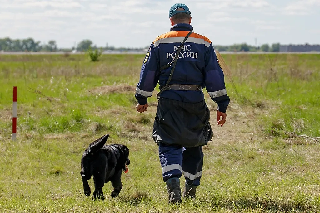 Обложка © ТАСС / Кирилл Кухмарь