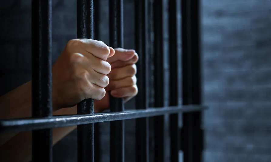 Обложка © Shutterstock / FOTODOM / hxdbzxy