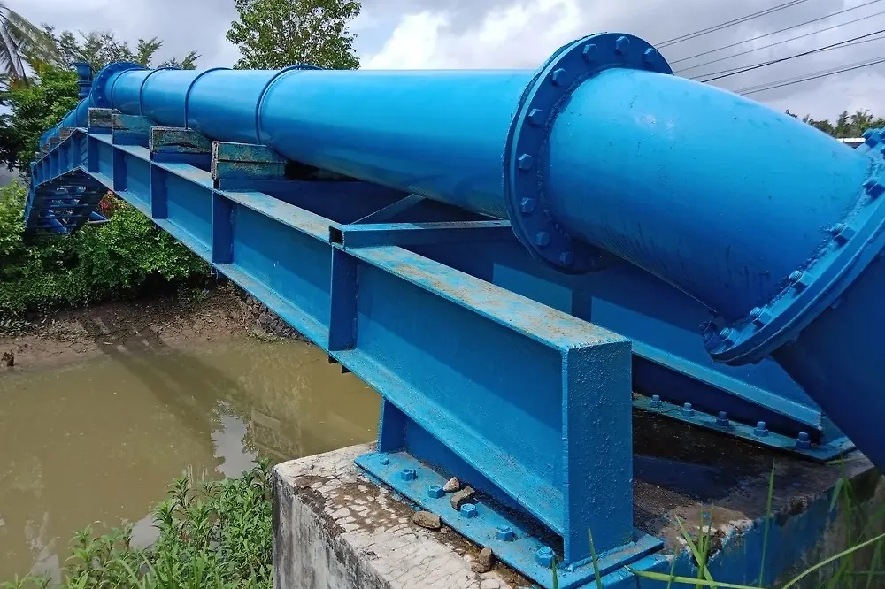 Обложка © Shutterstock / FOTODOM / yan&#x60;s7