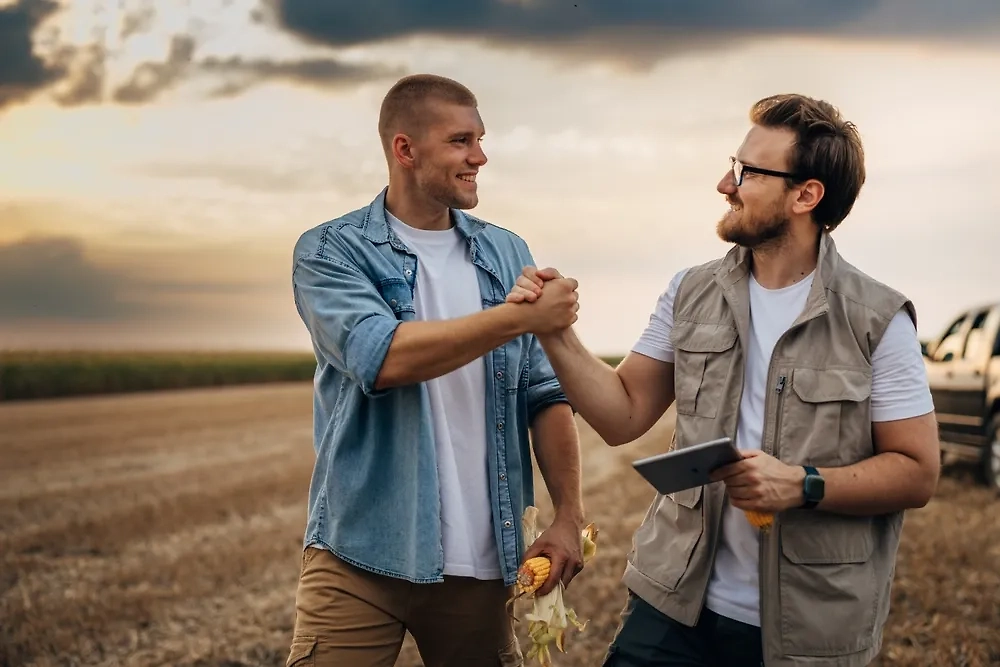 Обложка © Shutterstock / FOTODOM / Dejan Dundjerski