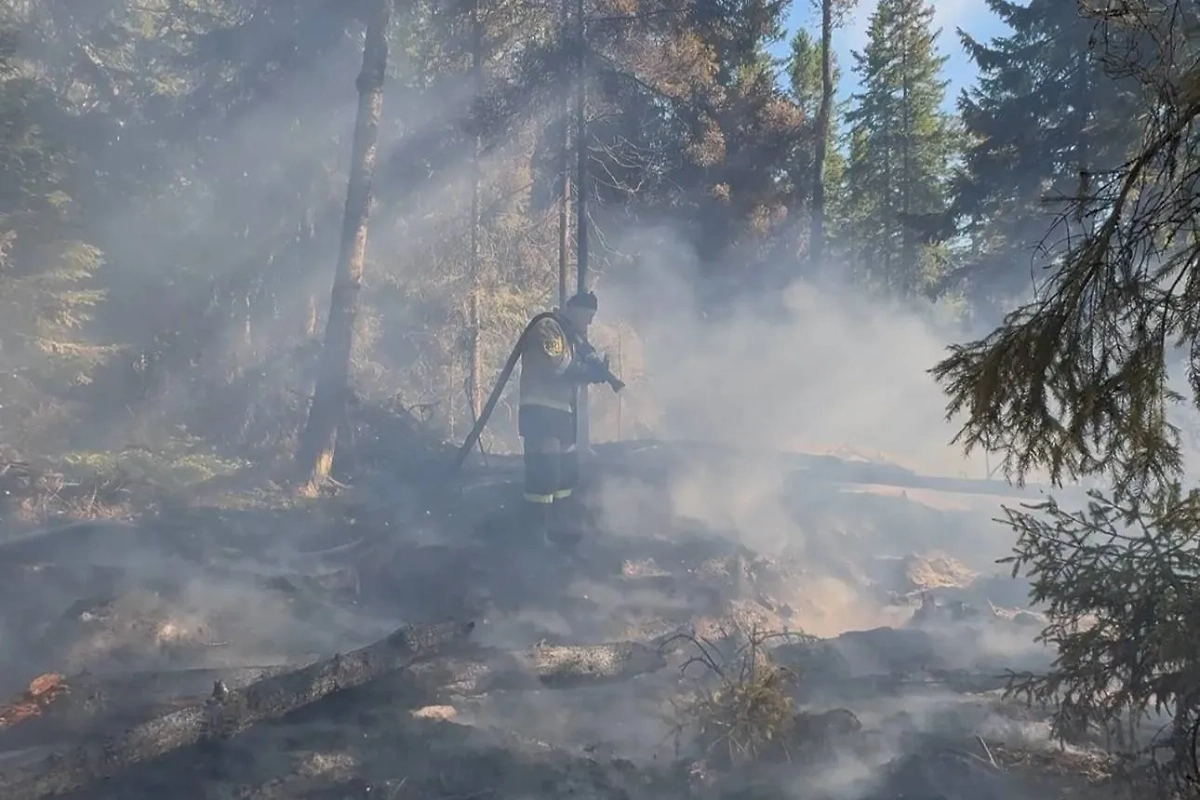 Обложка © Telegram / Валаамский монастырь