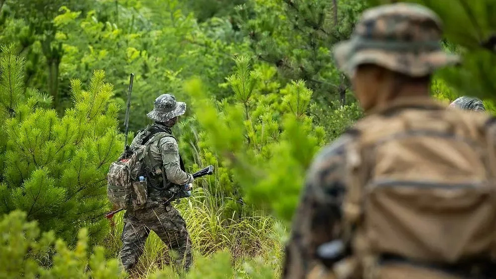 Военнослужащие Республики Кореи. Обложка © X / U.S. Indo-Pacific Command / LCpl Van Hoang