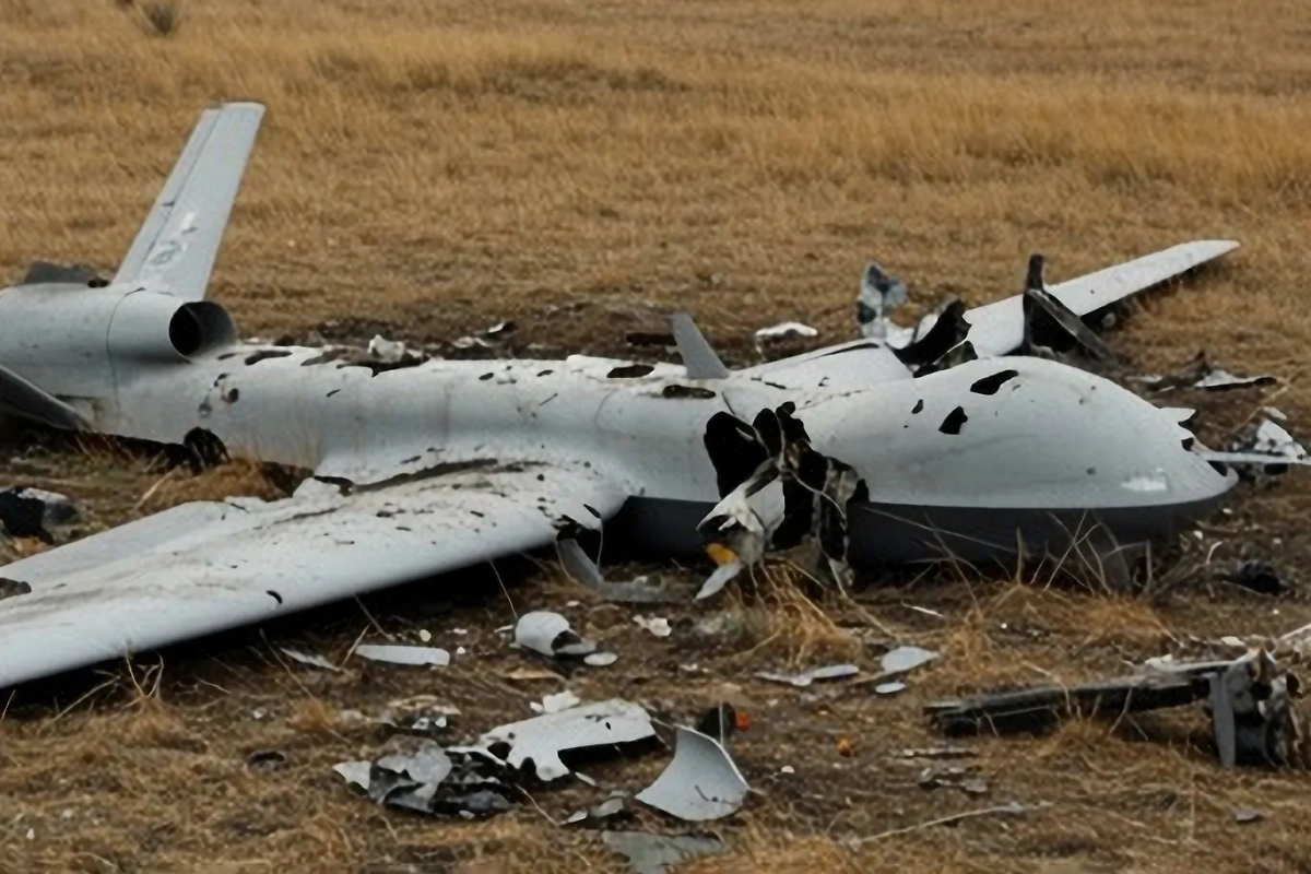 Обложка © Shutterstock AI