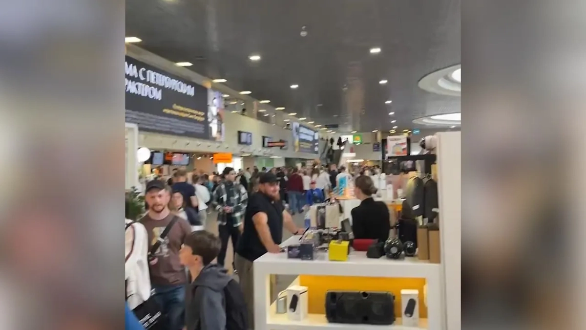 Обложка © Telegram/ SHOT