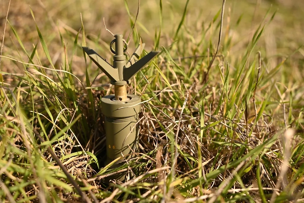 Обложка © Shutterstock / FOTODOM / Simun Galic